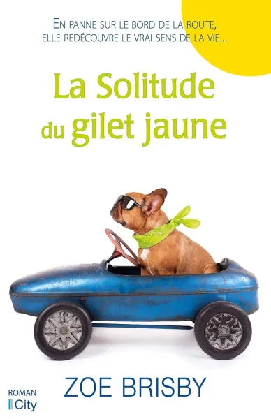 La solitude du gilet jaune - Zoé Brisby