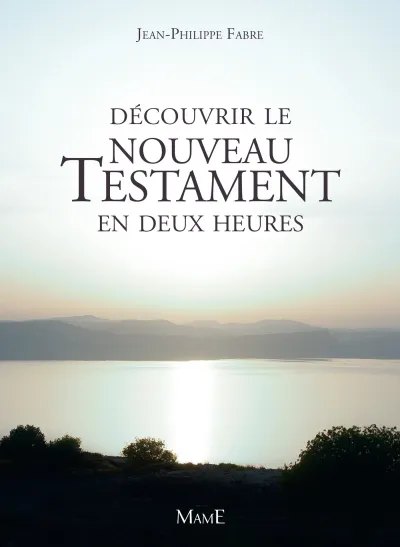 Testament en deux heures - Jean-Philippe Fabre